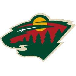  Lot 50 karet Minnesota Wild